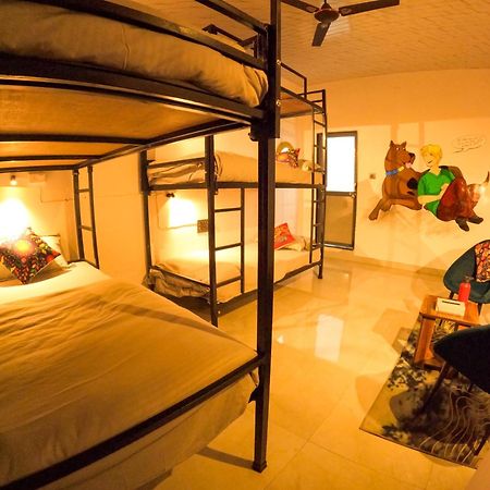Funky Backpackers Hotel Udaipur Exterior foto